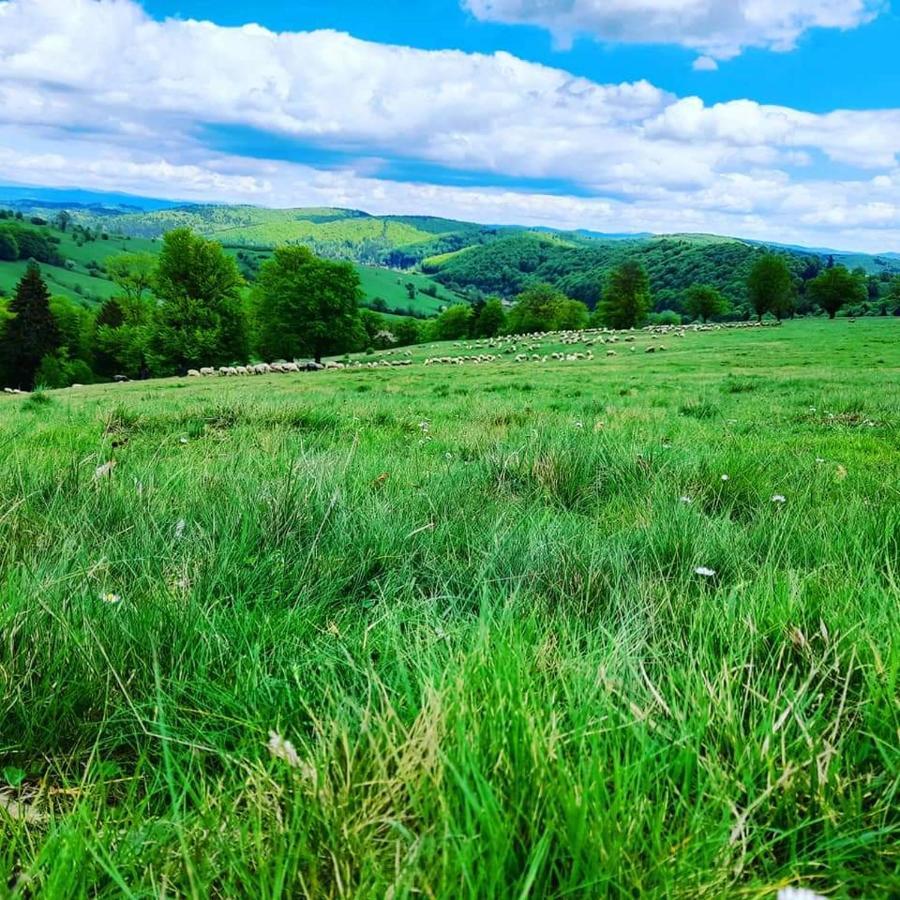 Hotel Langa Stana Curtea de Argeş Zewnętrze zdjęcie
