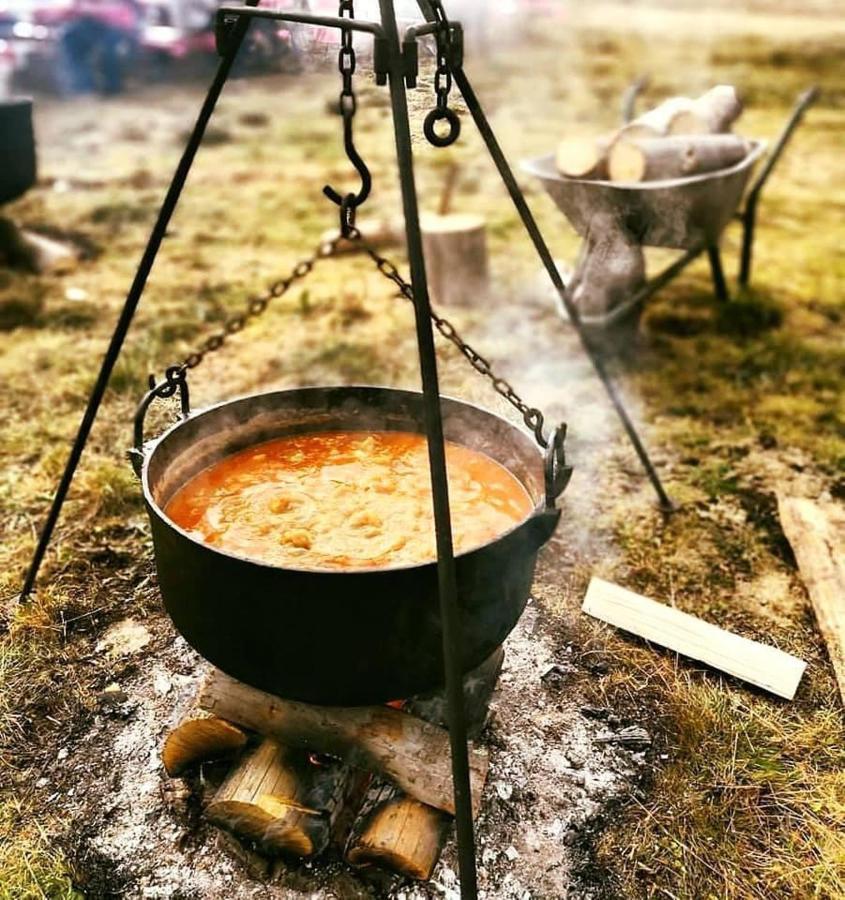Hotel Langa Stana Curtea de Argeş Zewnętrze zdjęcie