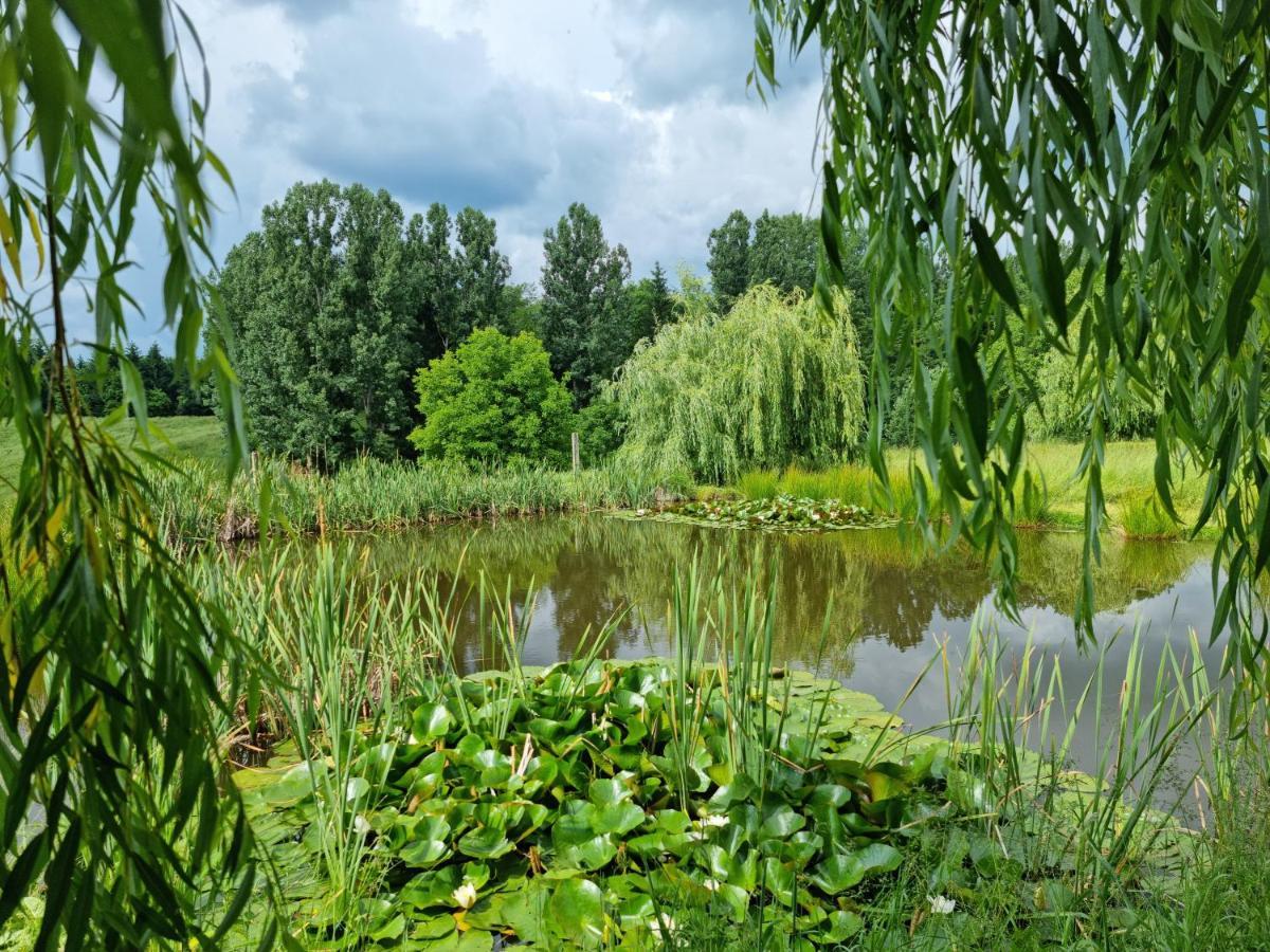 Hotel Langa Stana Curtea de Argeş Zewnętrze zdjęcie
