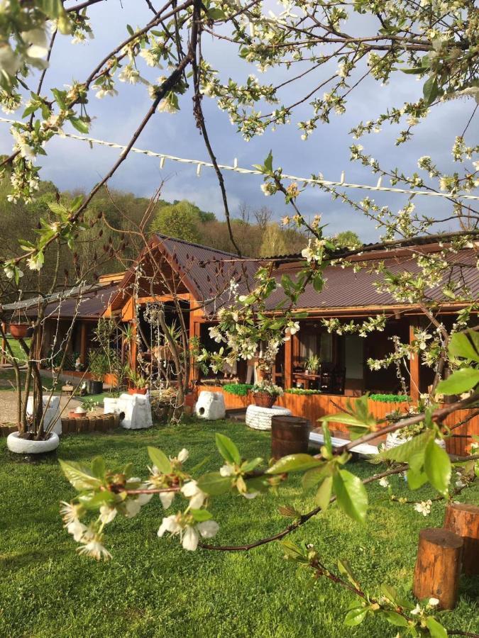 Hotel Langa Stana Curtea de Argeş Zewnętrze zdjęcie